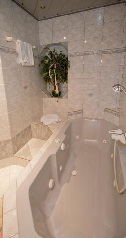 Appartement Schaubensteiner Zell am See Rom bilde
